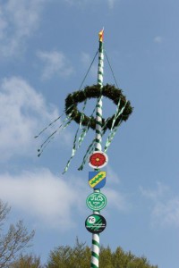 Maibaum 2016 (105)