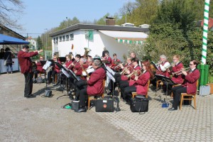 Maibaum 2016 (114)