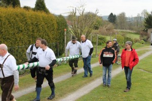 Maibaum 2016 (35)