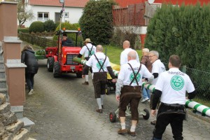 Maibaum 2016 (36)