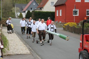 Maibaum 2016 (38)