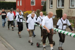 Maibaum 2016 (39)