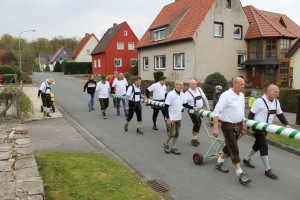 Maibaum 2016 (40)