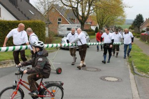 Maibaum 2016 (47)