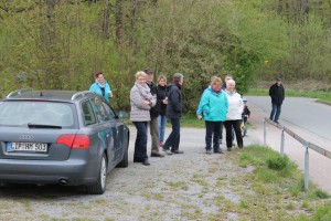 Maibaum 2016 (49)