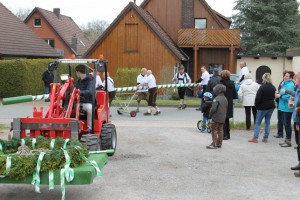 Maibaum 2016 (52)