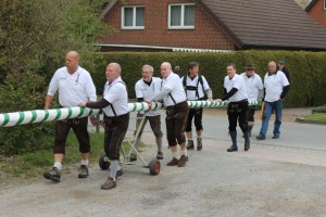 Maibaum 2016 (53)