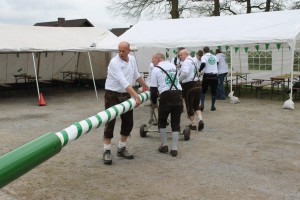 Maibaum 2016 (55)