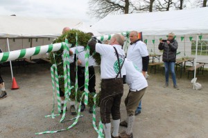 Maibaum 2016 (61)