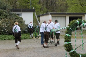 Maibaum 2016 (64)