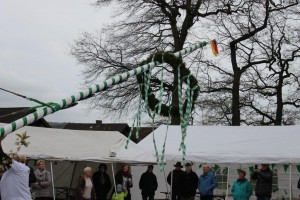 Maibaum 2016 (68)