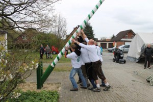 Maibaum 2016 (70)