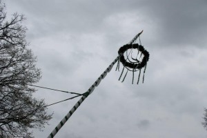 Maibaum 2016 (71)