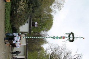 Maibaum 2016 (73)