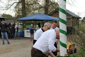 Maibaum 2016 (75)