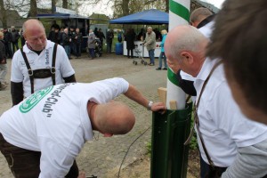 Maibaum 2016 (79)