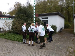 Maibaum 2016 (80)