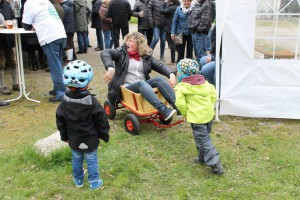 Maibaum 2016 (99)